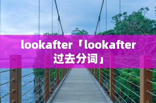 lookafter「lookafter过去分词」 lookafter「lookafter过去分词」
