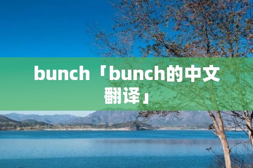 bunch「bunch的中文翻译」 bunch「bunch的中文翻译」