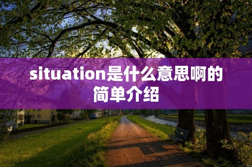 situation是什么意思啊的简单介绍