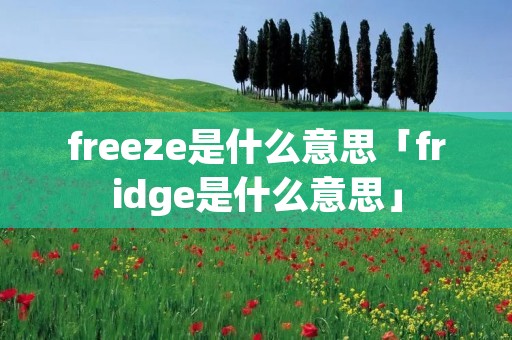 freeze是什么意思「fridge是什么意思」