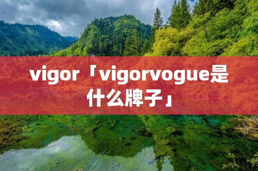 vigor「vigorvogue是什么牌子」