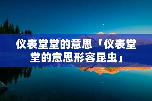 仪表堂堂的意思「仪表堂堂的意思形容昆虫」