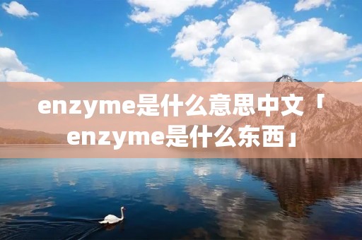 enzyme是什么意思中文「enzyme是什么东西」
