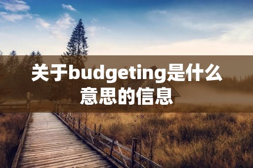 关于budgeting是什么意思的信息
