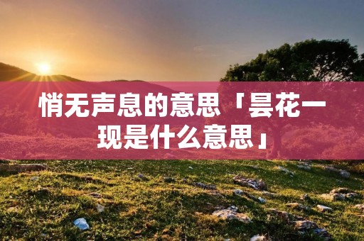 悄无声息的意思「昙花一现是什么意思」