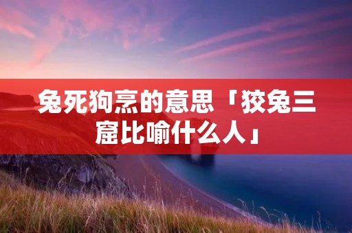 兔死狗烹的意思「狡兔三窟比喻什么人」