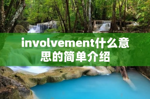 involvement什么意思的简单介绍