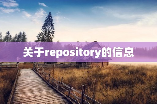 关于repository的信息 关于repository的信息