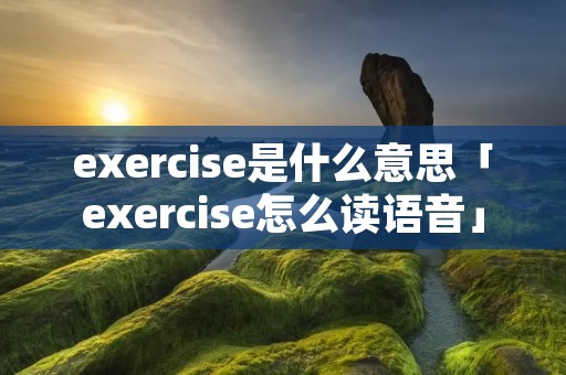 exercise是什么意思「exercise怎么读语音」