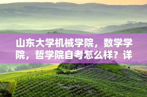 山东大学机械学院,数学学院,哲学院自考怎么样?详细点上课,住宿,还有整体学习环境客观点,谢谢