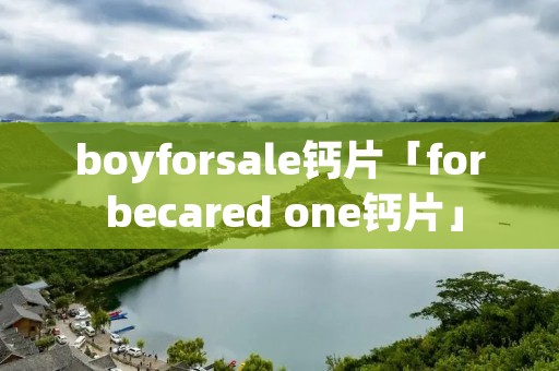 boyforsale钙片「for becared one钙片」 boyforsale钙片「for becared one钙片」