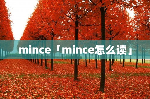 mince「mince怎么读」 mince「mince怎么读」