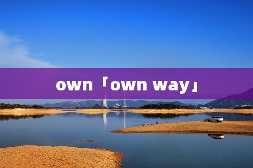 own「own way」