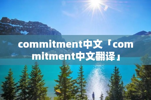 commitment中文「commitment中文翻译」