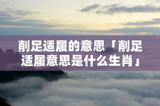 削足适履的意思「削足适履意思是什么生肖」