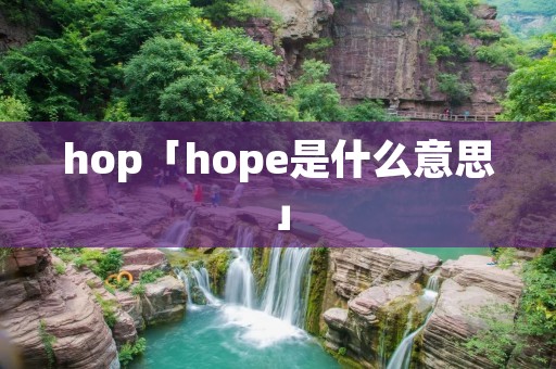 hop「hope是什么意思」