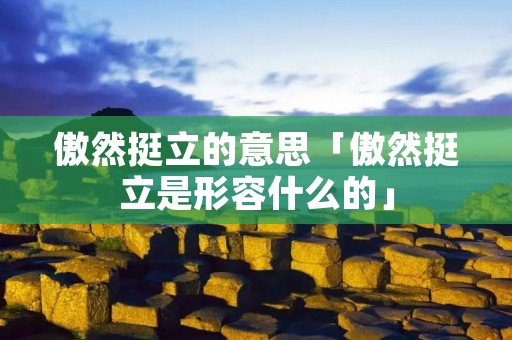 傲然挺立的意思「傲然挺立是形容什么的」
