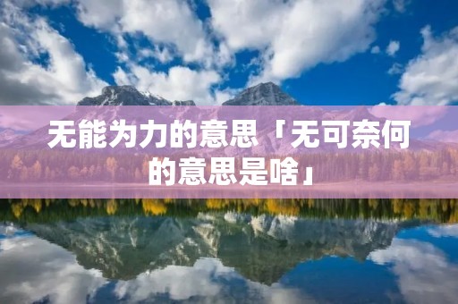 无能为力的意思「无可奈何的意思是啥」