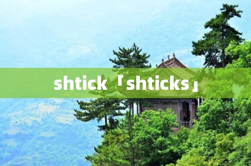 shtick「shticks」