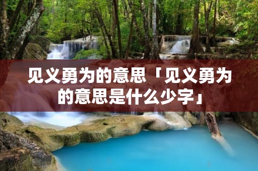 见义勇为的意思「见义勇为的意思是什么少字」