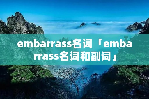 embarrass名词「embarrass名词和副词」