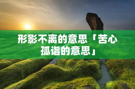 形影不离的意思「苦心孤诣的意思」