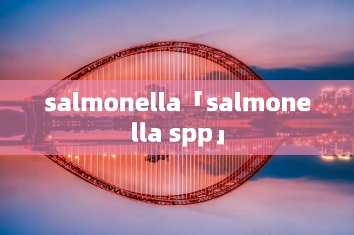 salmonella「salmonella spp」