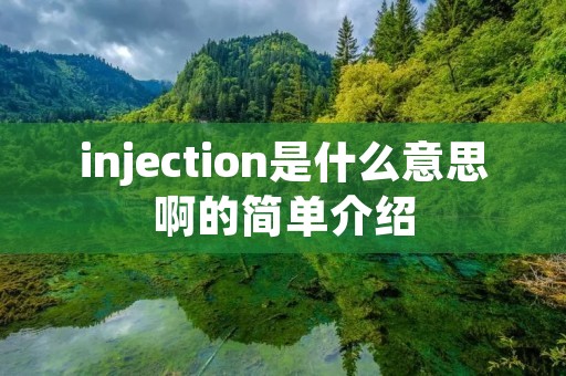 injection是什么意思啊的简单介绍