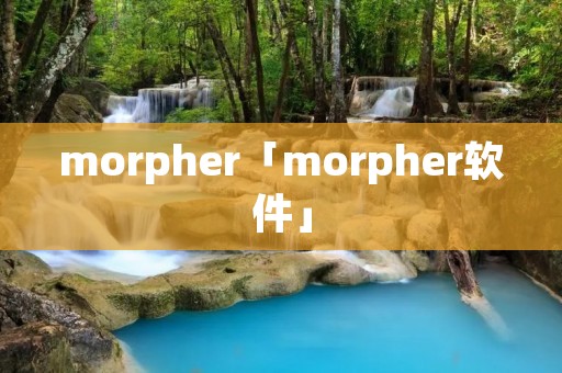 morpher「morpher软件」