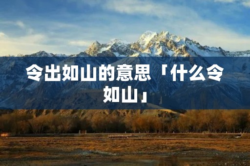 令出如山的意思「什么令如山」