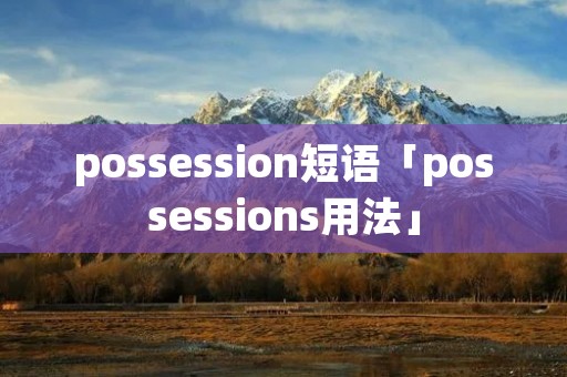 possession短语「possessions用法」