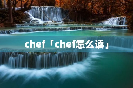 chef「chef怎么读」