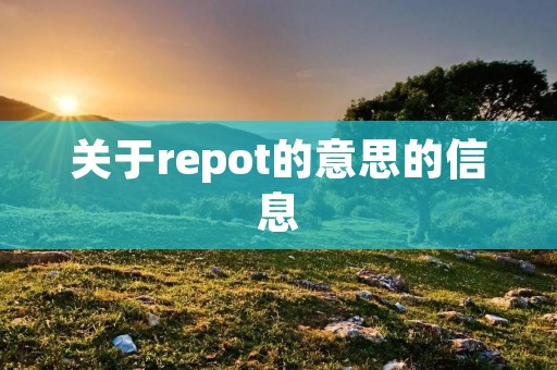 关于repot的意思的信息