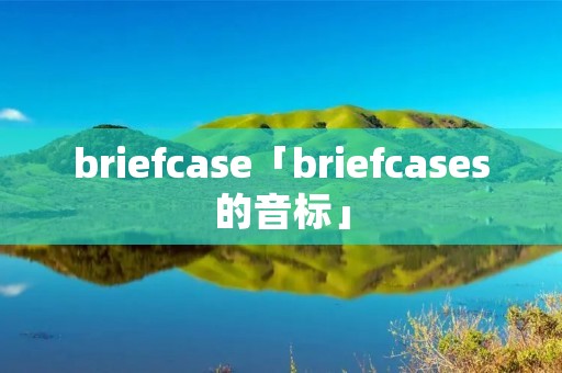 briefcase「briefcases的音标」 briefcase「briefcases的音标」