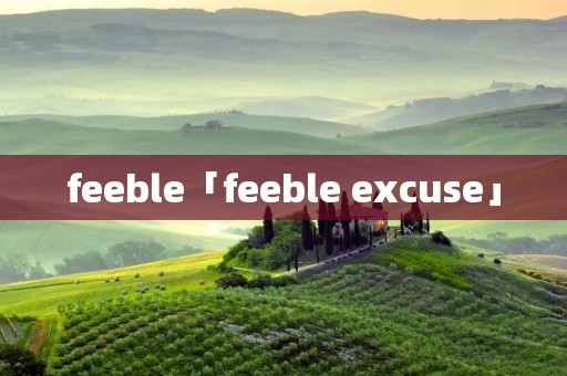 feeble「feeble excuse」