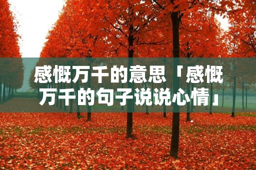 感慨万千的意思「感慨万千的句子说说心情」