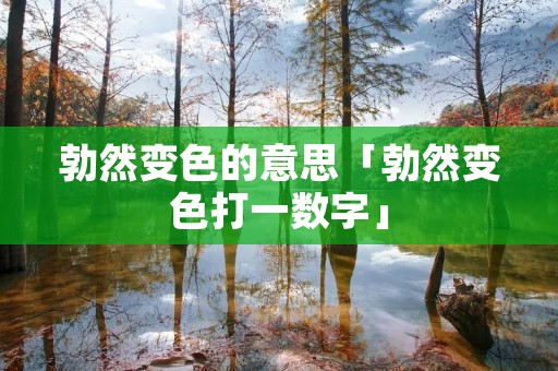 勃然变色的意思「勃然变色打一数字」