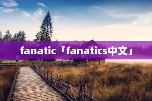 fanatic「fanatics中文」