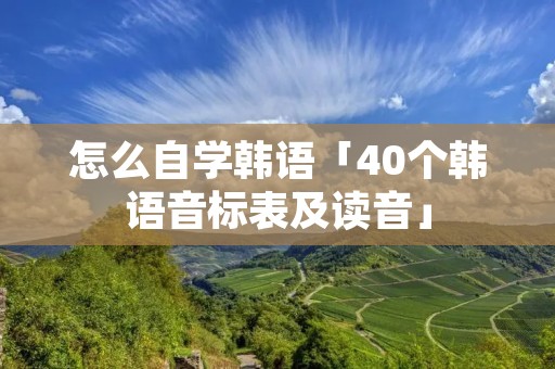怎么自学韩语「40个韩语音标表及读音」 怎么自学韩语「40个韩语音标表及读音」