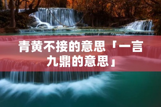 青黄不接的意思「一言九鼎的意思」