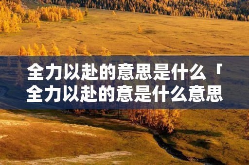 全力以赴的意思是什么「全力以赴的意是什么意思」