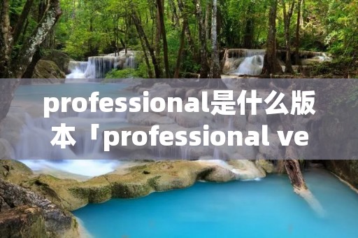 professional是什么版本「professional version」