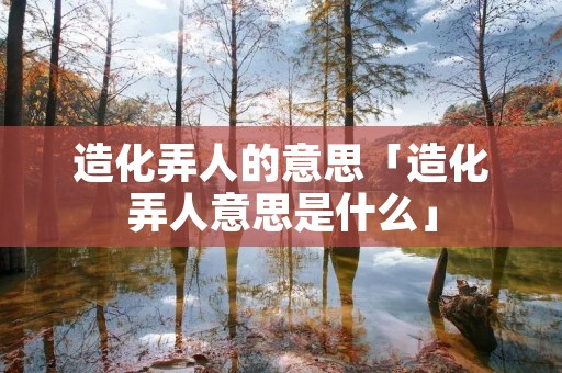 造化弄人的意思「造化弄人意思是什么」