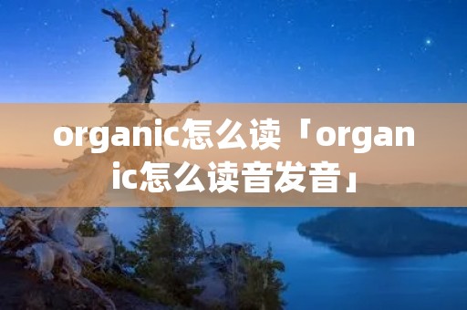 organic怎么读「organic怎么读音发音」