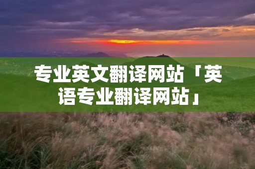 专业英文翻译网站「英语专业翻译网站」