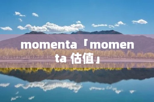 momenta「momenta 估值」 momenta「momenta 估值」