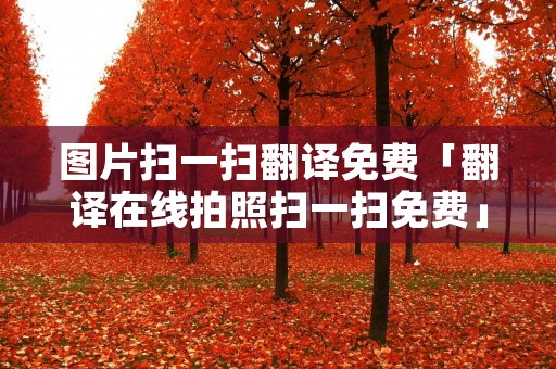 图片扫一扫翻译免费「翻译在线拍照扫一扫免费」