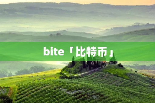 bite「比特币」
