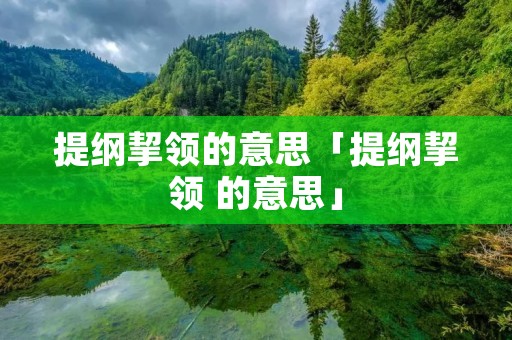 提纲挈领的意思「提纲挈领 的意思」