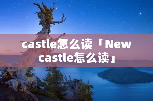 castle怎么读「Newcastle怎么读」